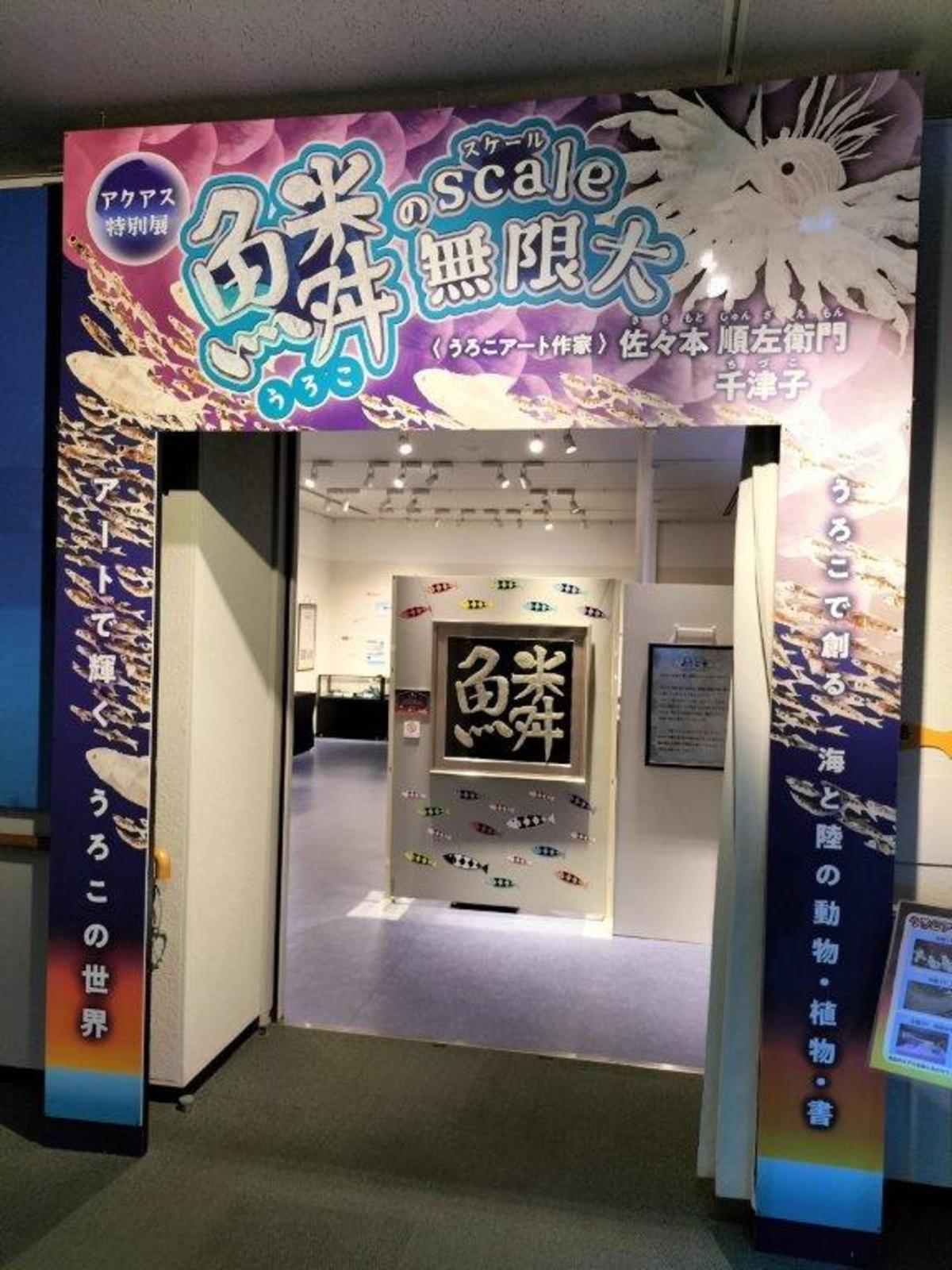 ウロコ展　入口